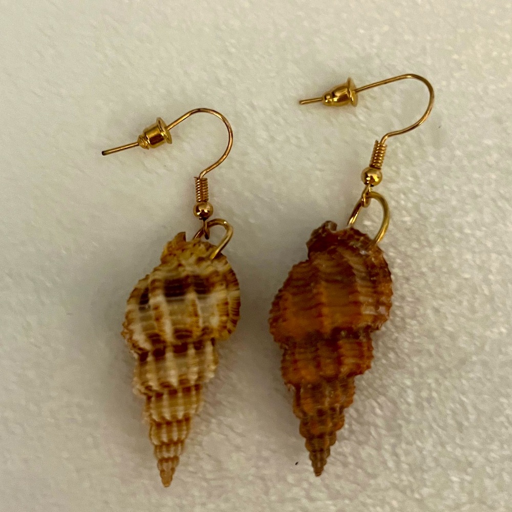 ❤️ Seashell earrings ❤️
